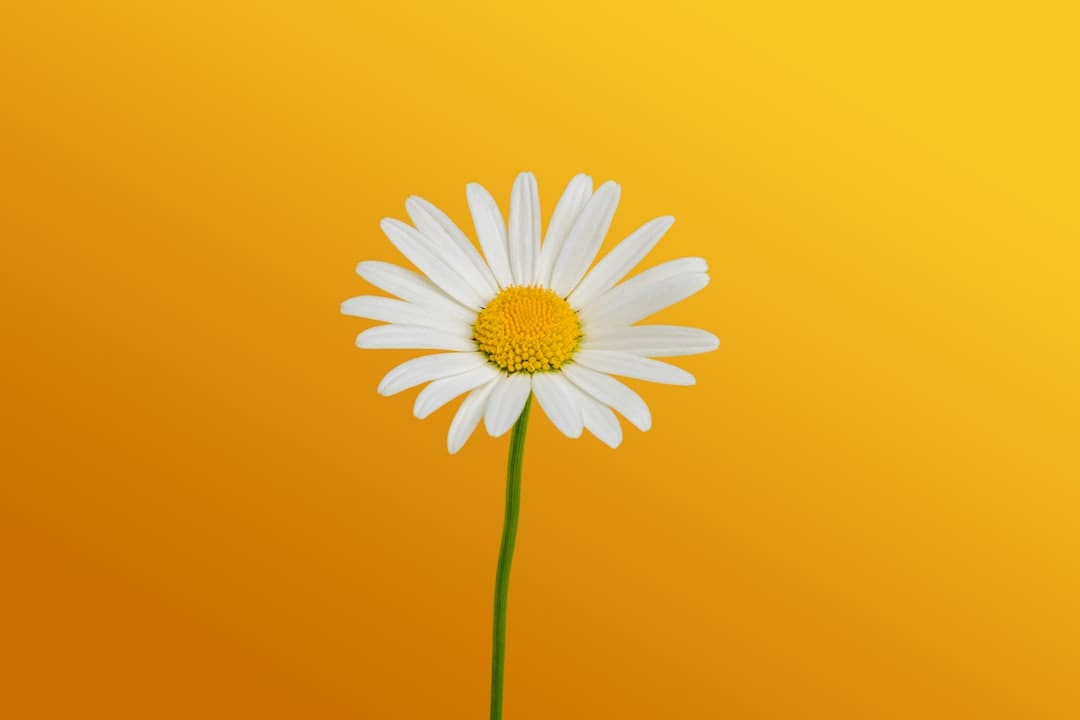 《归队》福庆角色介绍